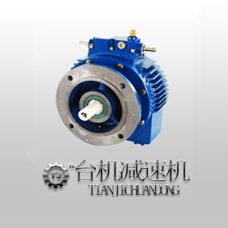 立式UDT無(wú)級(jí)變速機(jī)，立式UDT無(wú)級(jí)變速器