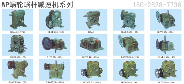 蝸輪蝸桿減速機(jī) 蝸輪蝸桿減速機(jī)